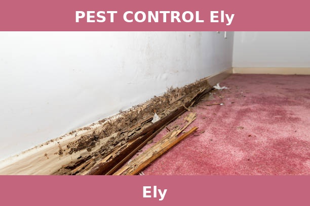 PEST CONTROL Ely